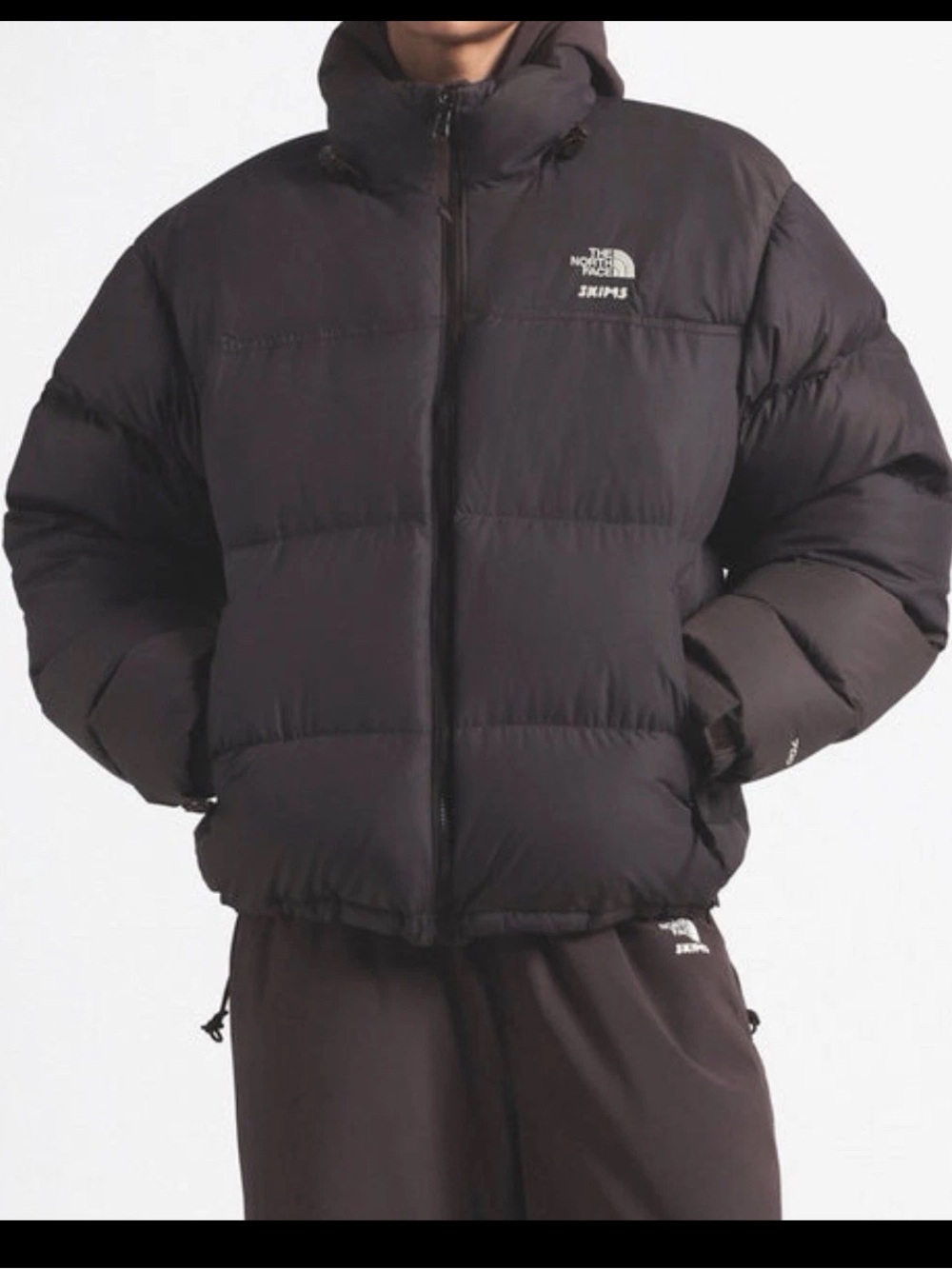 SKIMS x The North Face 1996 Nuptse Jacket size xs small oversized phoenix NWT
